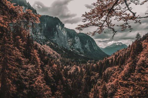Acheter un bien immobilier à Morzine : comment faire une bonne affaire ?